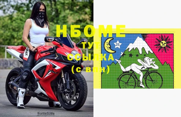 стаф Богданович