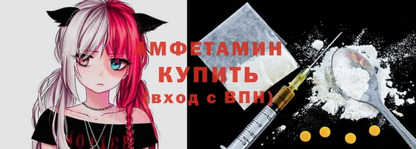 амф Богородицк