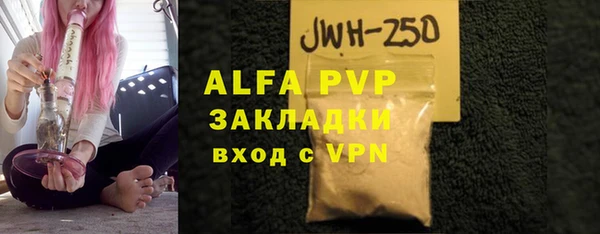 стаф Богданович