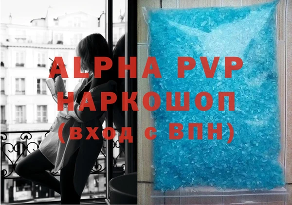 стаф Богданович
