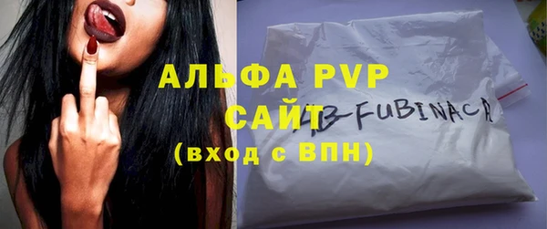 стаф Богданович