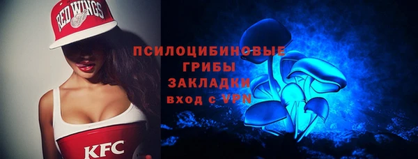 амф Богородицк