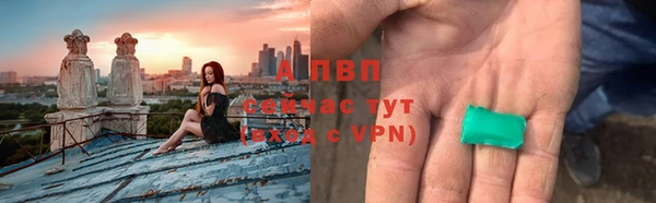 стаф Богданович
