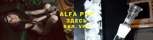 стаф Богданович