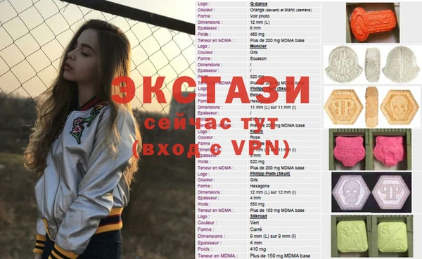 стаф Богданович