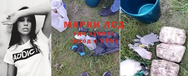 стаф Богданович