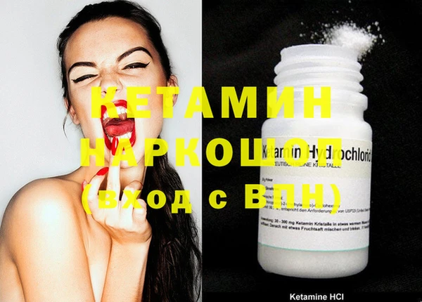 стаф Богданович