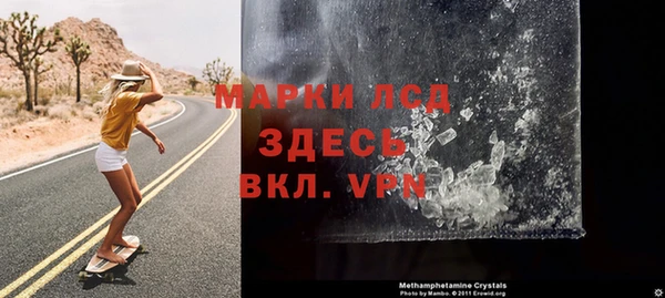 стаф Богданович
