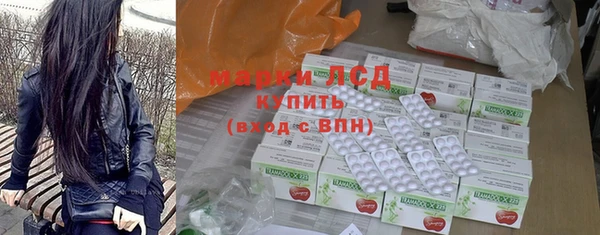 стаф Богданович
