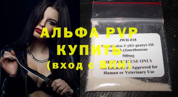 стаф Богданович