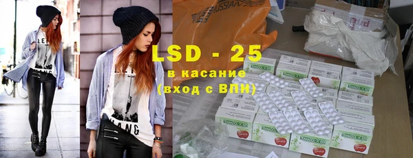 стаф Богданович