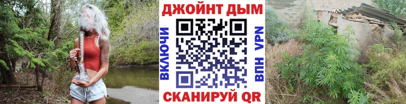 Шишки марихуана марихуана Светлый