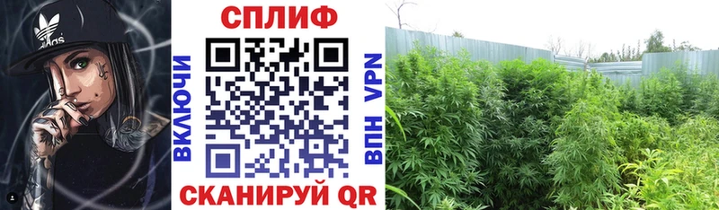 Конопля индика  Светлый 
